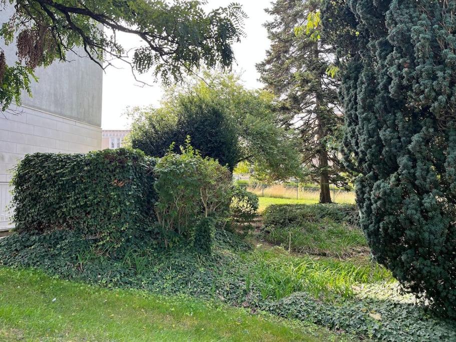 Gites Maisons De Champagnes Реймс Экстерьер фото